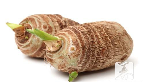 ​野生香菇做法有哪些？