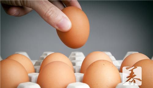 这物被誉为“全养分食物”，吃一个记忆力前进百步！