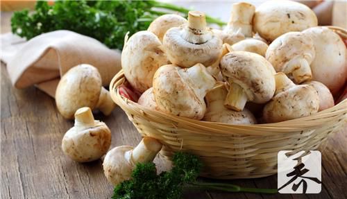 杏鲍菇猪肉汤，三个方面告诉你