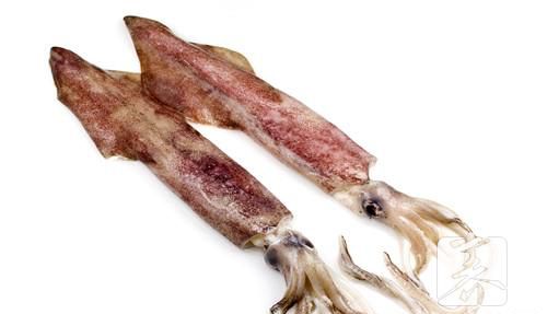哪些人不宜食用乌贼？乌贼的副作用有哪些?