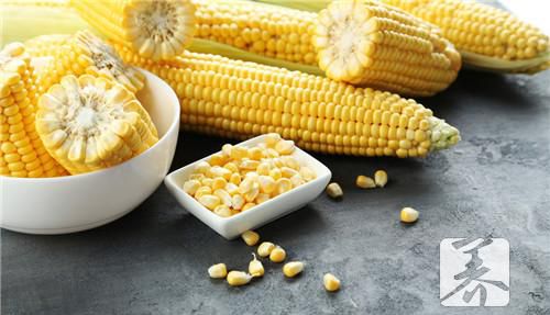 哪些人不宜食用玉米粒？玉米粒的副作用有哪些?