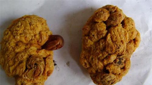 怀孕可以吃紫河车吗？怀孕吃什么比较好