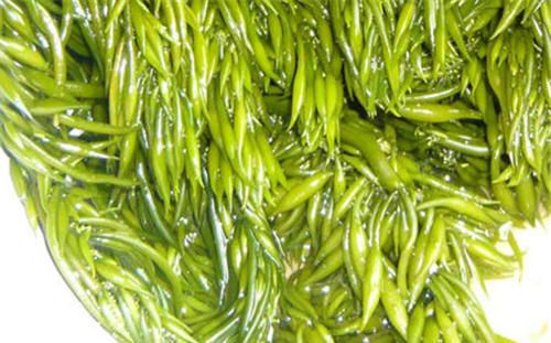 怀孕可以吃羊栖菜吗？怀孕吃什么比较好