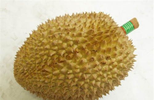 怀孕可以吃榴莲壳吗？怀孕吃什么比较好