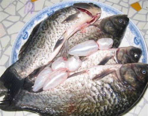 怀孕可以吃鱼鳔吗？怀孕吃什么比较好