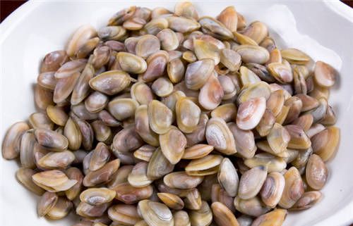 怀孕可以吃海瓜子吗？怀孕吃什么比较好