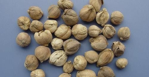 怀孕可以吃豆蔻吗？怀孕吃什么比较好