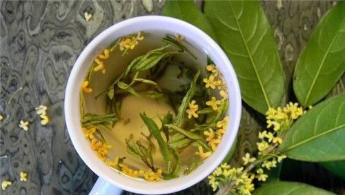 怀孕可以吃桂花茶吗？怀孕吃什么比较好
