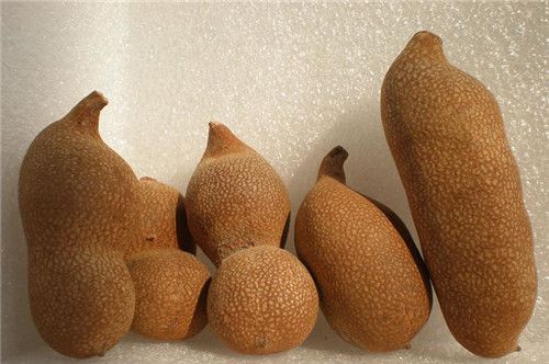 怀孕可以吃酸角吗？怀孕吃什么比较好