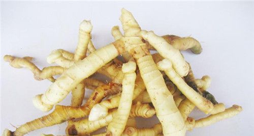 怀孕可以吃玉竹吗？怀孕吃什么比较好