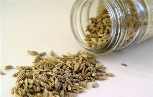 怀孕可以吃茴香籽吗？怀孕吃什么比较好