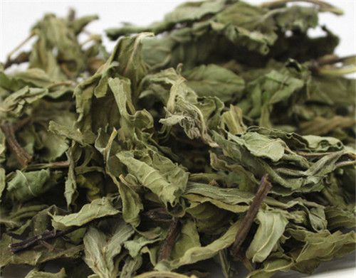 怀孕可以吃香薄荷吗？怀孕吃什么比较好