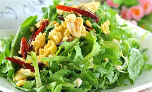 怀孕可以吃苦菊吗？怀孕吃什么比较好