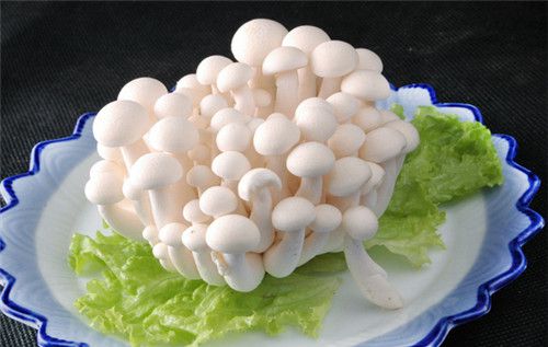 怀孕可以吃白玉菇吗？怀孕吃什么比较好