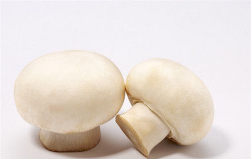 怀孕可以吃白蘑菇吗？怀孕吃什么比较好