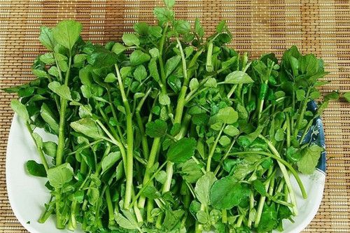 怀孕可以吃豆瓣菜吗？怀孕吃什么比较好