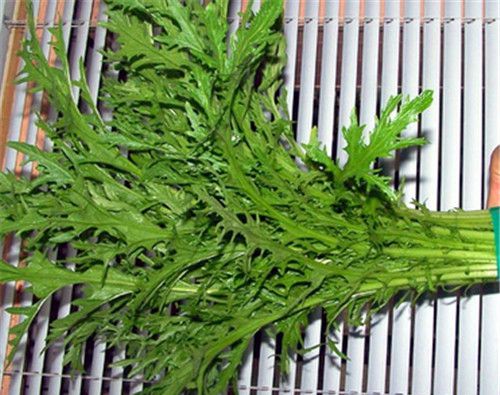 怀孕可以吃雪里蕻吗？怀孕吃什么比较好
