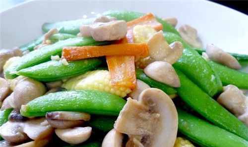 怀孕可以吃洋菇吗？怀孕吃什么比较好