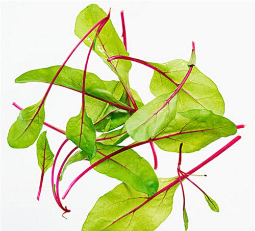 怀孕可以吃甜菜吗？怀孕吃什么比较好