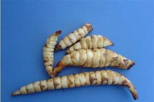 怀孕可以吃地笋吗？怀孕吃什么比较好