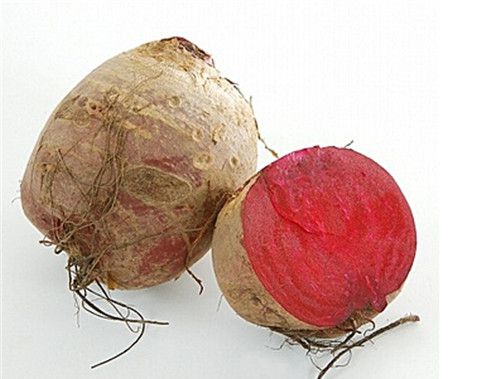 怀孕可以吃甜菜根吗？怀孕吃什么比较好