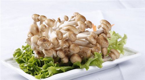 怀孕可以吃蟹味菇吗？怀孕吃什么比较好