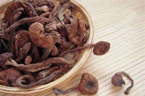 怀孕可以吃榛蘑吗？怀孕吃什么比较好