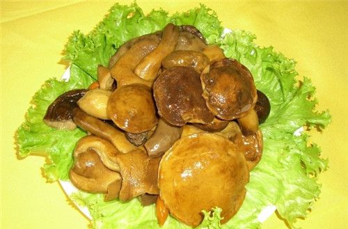 怀孕可以吃牛肝菌吗？怀孕吃什么比较好