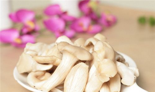 怀孕可以吃平菇吗？怀孕吃什么比较好