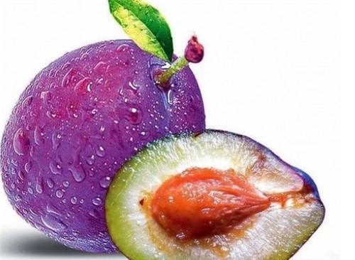 怀孕可以吃西梅吗？怀孕吃什么比较好