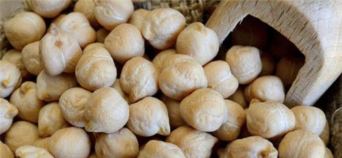 怀孕可以吃鹰嘴豆吗？怀孕吃什么比较好