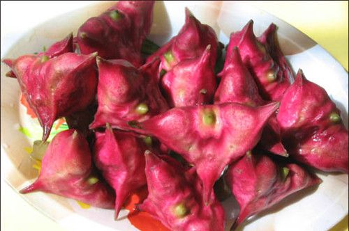 怀孕可以吃菱角吗？怀孕吃什么比较好