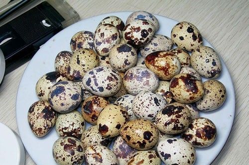 怀孕可以吃鹌鹑蛋吗？怀孕吃什么比较好