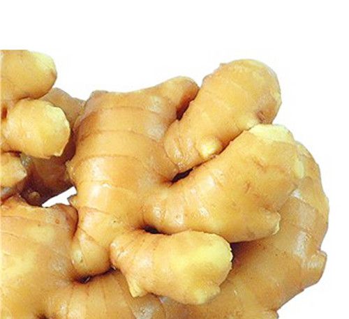 怀孕可以吃姜吗？怀孕吃什么比较好