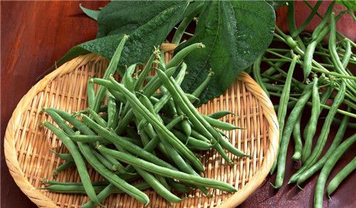 怀孕可以吃芸豆吗？怀孕吃什么比较好