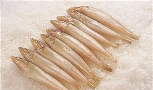 怀孕可以吃沙丁鱼吗？怀孕吃什么比较好
