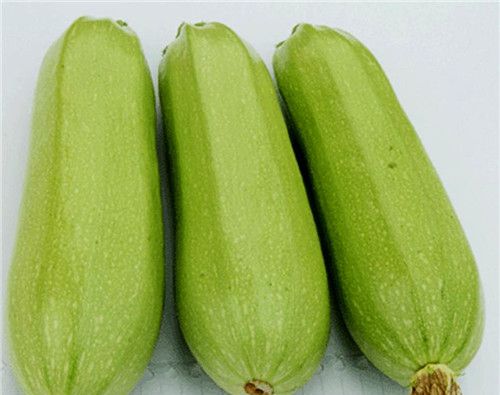 怀孕可以吃西葫芦吗？怀孕吃什么比较好