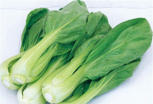 怀孕可以吃小白菜吗？怀孕吃什么比较好