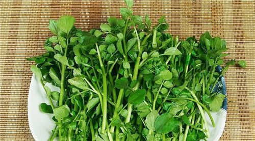 怀孕可以吃西洋菜吗？怀孕吃什么比较好