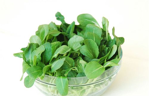怀孕可以吃油菜吗？怀孕吃什么比较好