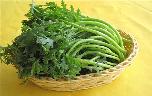 怀孕可以吃茼蒿吗？怀孕吃什么比较好