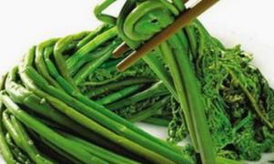 野生菜蕺菜的吃法_养生吃法与做法