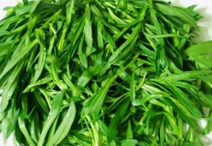 野生菜东风菜的吃法_养生吃法与做法