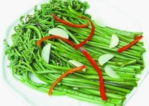 野生菜水芹的吃法_养生吃法与做法