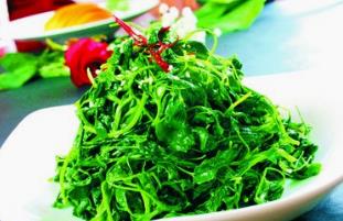 野生菜山野豌豆的吃法_养生吃法与做法