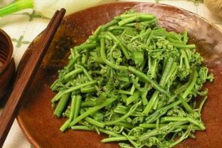 野生菜酸模的吃法_养生吃法与做法