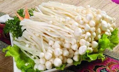 金针菇的食疗功效和作用_金针菇的养生保健食谱