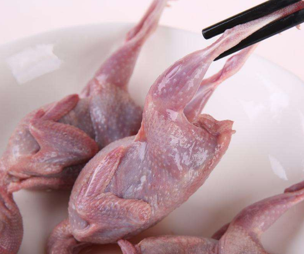 鹌鹑肉的性味归经与作用功效禁忌_营养价值与成分药理