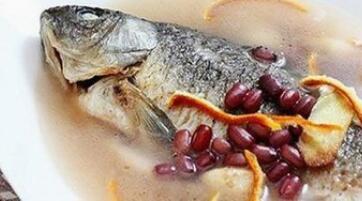 鲤鱼赤小豆汤的作用与功效禁忌、做法与标准原方组成配方