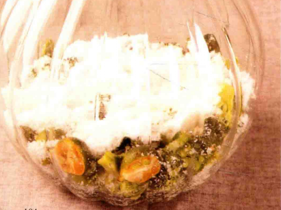 绿色蔬果酵素的制作方法、作用与功效